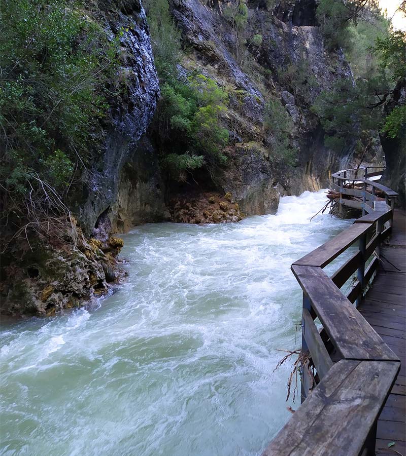 Ruta Rio Borosa - Parque Natural Sierras de Cazorla, Segura y Las Villas